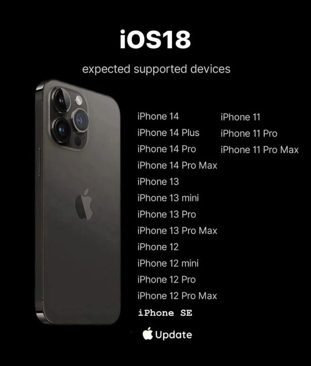 IMG 1928