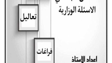 الاجتماعيات