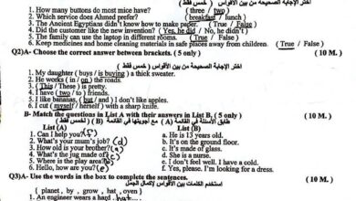 السادس الابتدائي