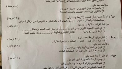 الثالث المتوسط