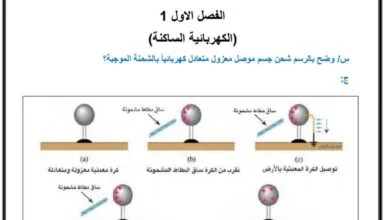 الثالث المتوسط